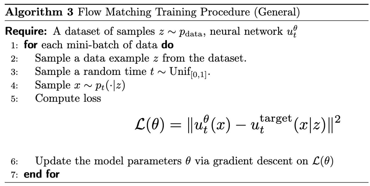 Flow Matching Training Procedure